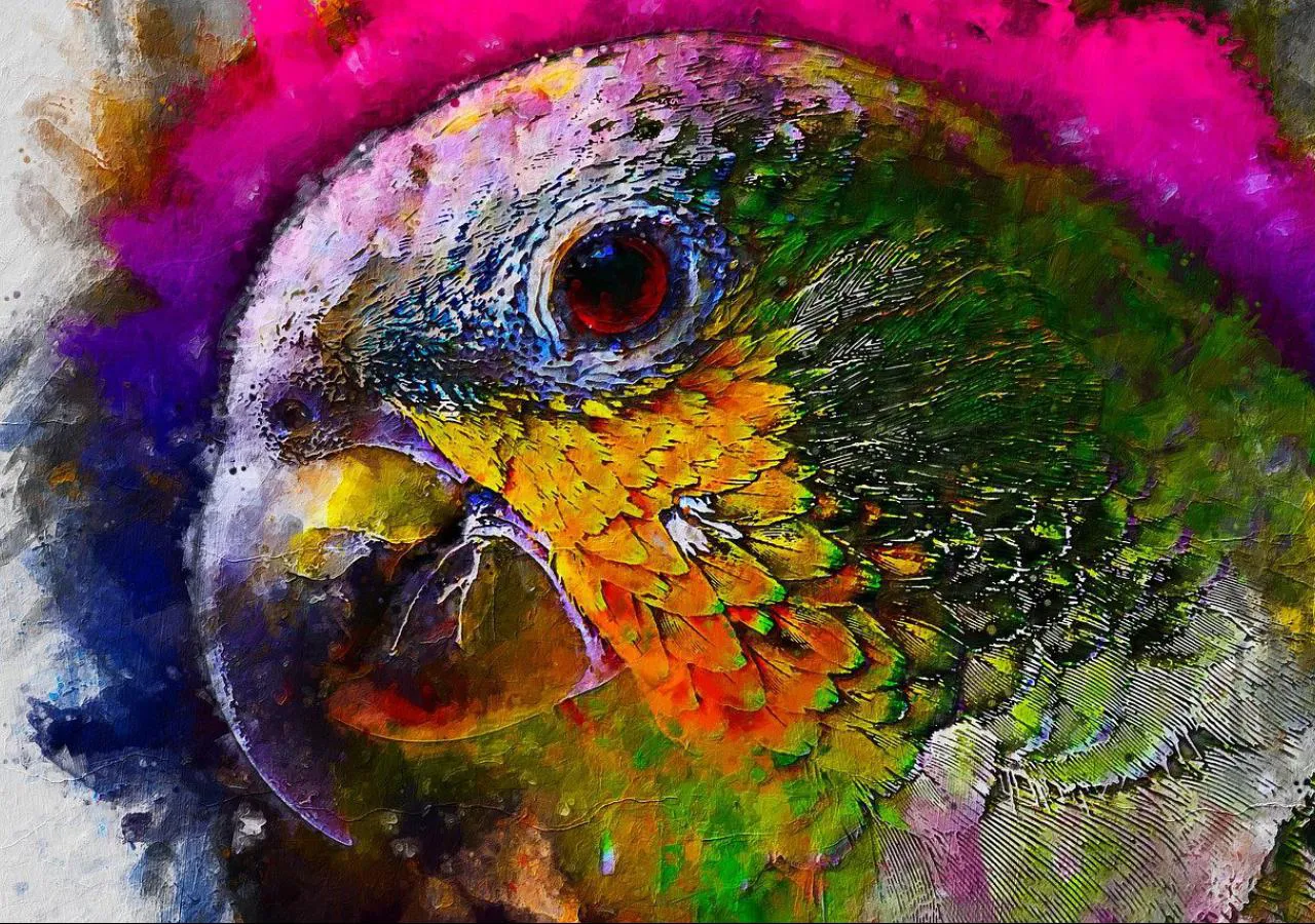 Cacatua en témpera class=
